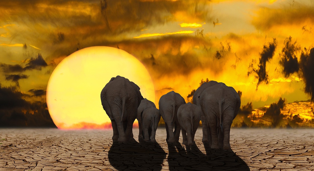 Climate Change: Are Clouds Amplifying Global Warming?